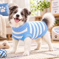 Blue Striped Dog Sweater